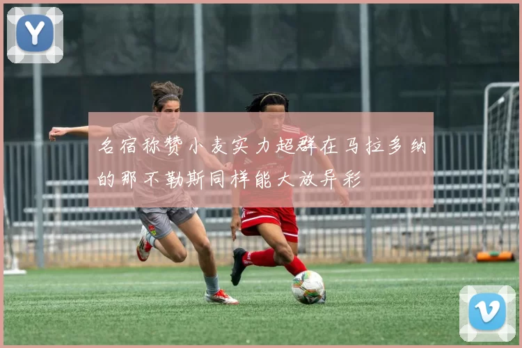 名宿称赞小麦实力超群在马拉多纳的那不勒斯同样能大放异彩